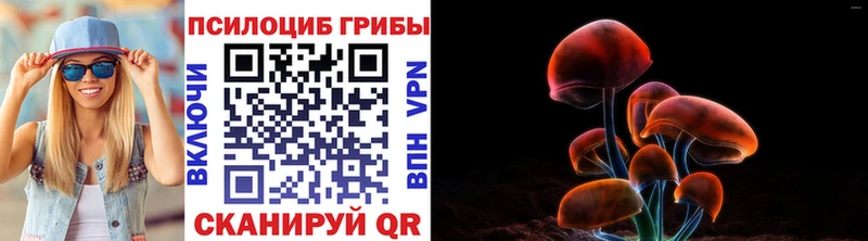 Псилоцибиновые грибы GOLDEN TEACHER kraken Полесск